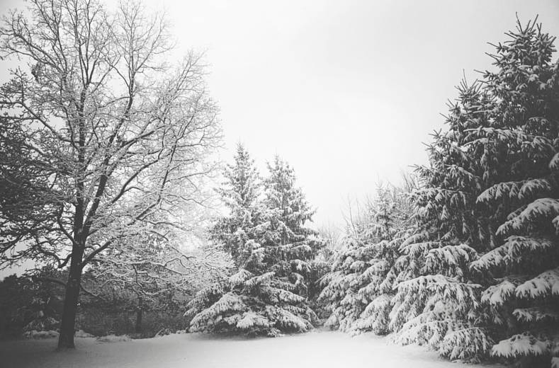 Is Your Business A Winter Wonderland or An Arctic Blizzard?
